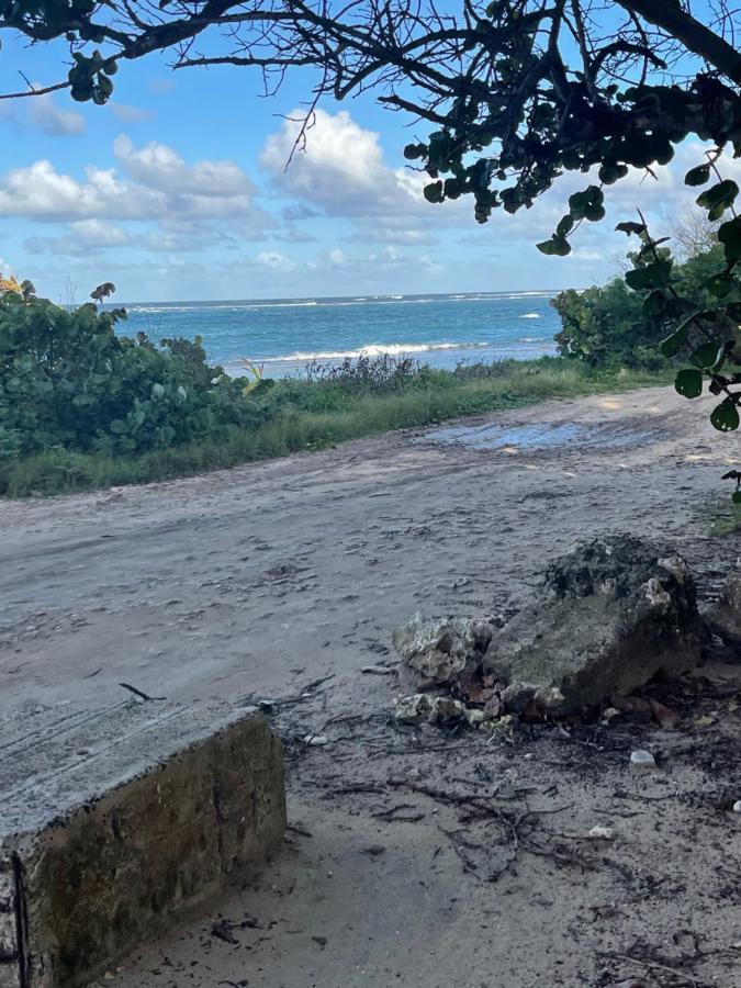 2 Bungalows Au Bord De La Plage De Montal A Moule Loues Individuellement Ou Ensemble Le Moule Kültér fotó